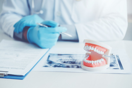 Dentist with denture learning how to teeth At dentistÂs officeの写真素材