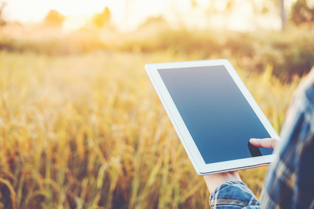 Smart farming Agricultural technology and organic agriculture Woman using the research tablet and studying the development of rice varieties in rice fieldの写真素材