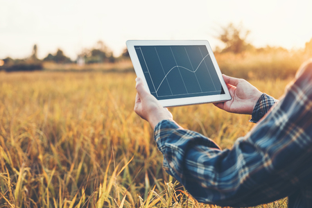 Smart farming Agricultural technology and organic agriculture Woman using the research tablet and studying the development of rice varieties in rice fieldの写真素材