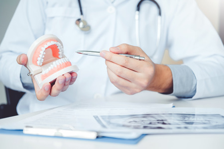 Dentist learning how to brush teethの写真素材