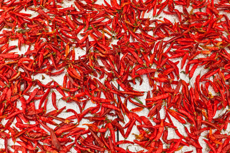 Background of red pepper (capsicum)の写真素材