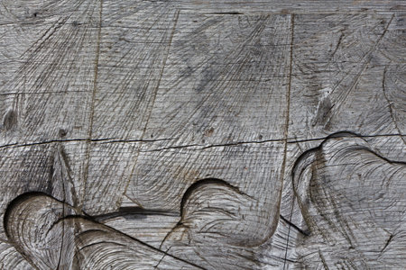 Windward saw cut of wood, closeup.