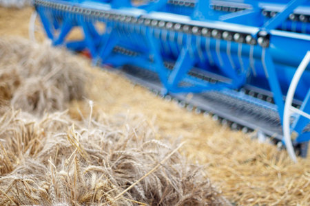 Blurred image of wheat and combine harvester knives.