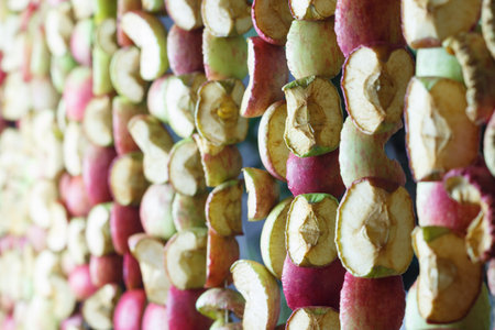 Slices of apples hang and dry, selective focus.の写真素材