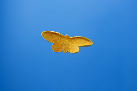 Decorative small butterfly made from dry peel of grapefruit on a blue background.の写真素材