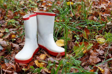 Pair of rubber white children's shoes in autumn on a lawn with foliage. copyspace.の写真素材