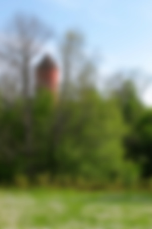 Blurred nature backgroundの写真素材