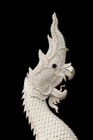 Naga,the king of snake isolated on black background.の写真素材