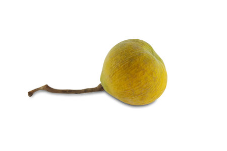 It is yellow santol fruit isolated on white background の写真素材