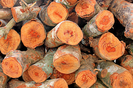 It is firewood for pattern