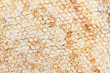 It is Real beehive for pattern.の写真素材