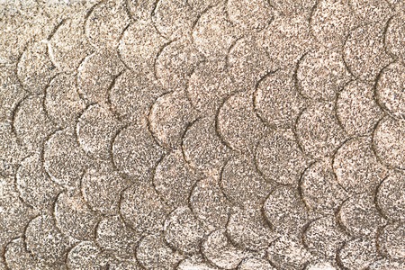 It is Naga scale for pattern and background.の写真素材