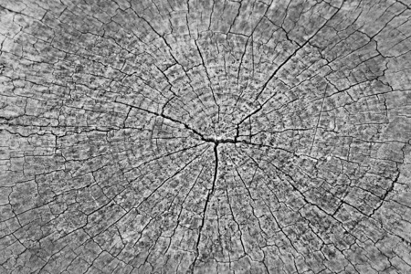 It is Cracked wood texture for pattern and background.の写真素材