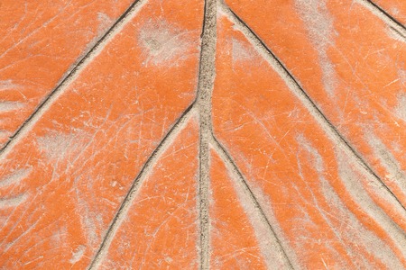 It is Orange grunge cement for pattern.の写真素材