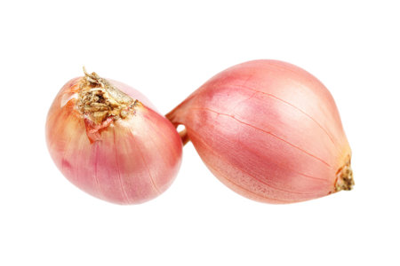it is two shallots isolated on white.