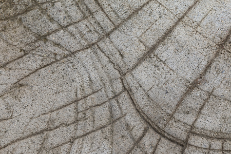 it is design on cement and concrete for background.の写真素材
