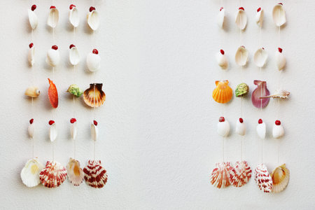 it is hanging colorful seashells for background and design.の写真素材