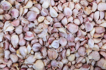 it is garlic for pattern and background.の写真素材