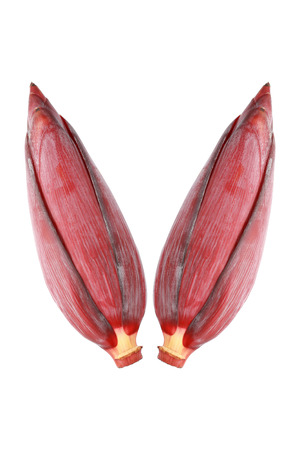 banana blossom isolated on white.の写真素材