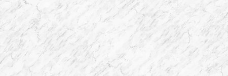 horizontal elegant white marble texture background,vector illustration.のイラスト素材