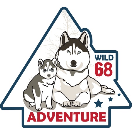 siberian husky vectorのイラスト素材