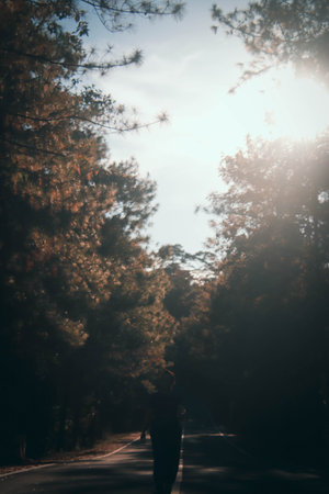 Man walking on the road in the forest at sunset. Vintage tone.の写真素材