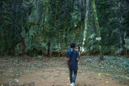 Man walking in the forest, Chiangmai, Thailand.