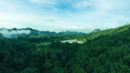 Panoramic view of tropical rainforest with rice terraces.の写真素材
