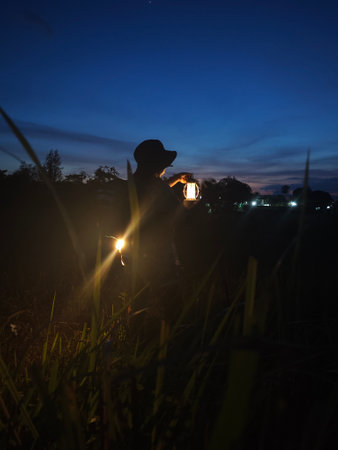 Silhouette of man with lantern in the rice field at nightの写真素材