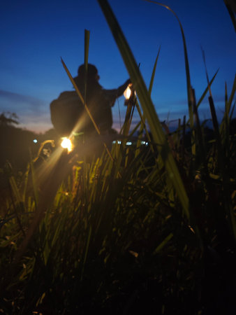 Silhouette of a man sitting on a grass in the evening