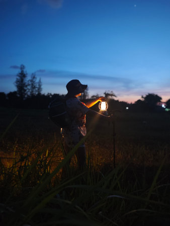 Silhouette of grass in the garden at night, Thailand.