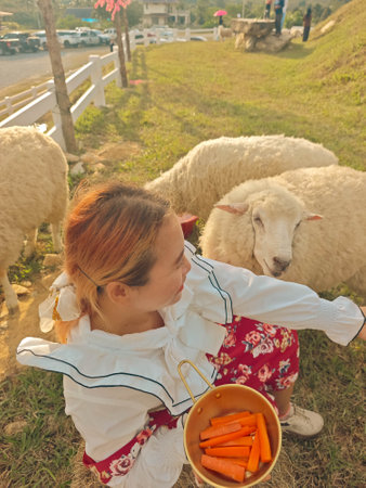 A girl with a basket of carrots and sheep in the countryside.の写真素材