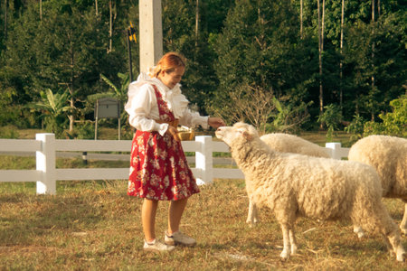 Little girl feeding sheep in the farm. Selective focus. nature.の写真素材