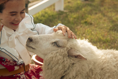 Sheep in the hands of a young woman. She is sitting on the grass.の写真素材