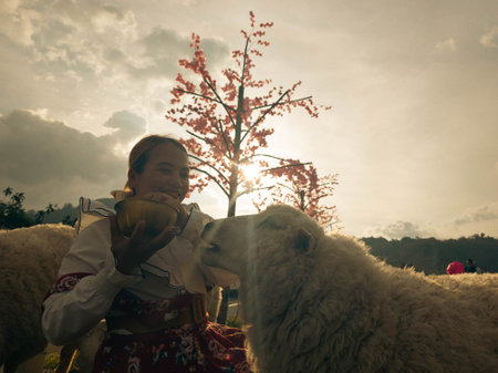 Shepherd in traditional costume with sheep at sunset, Chengde, Hebei Province, Chinaの写真素材
