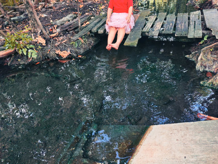 Little girl in a red dress is playing in a small stream.の写真素材