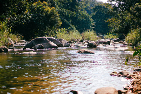 river in the forest with rocks and trees in the background, Thailandの写真素材