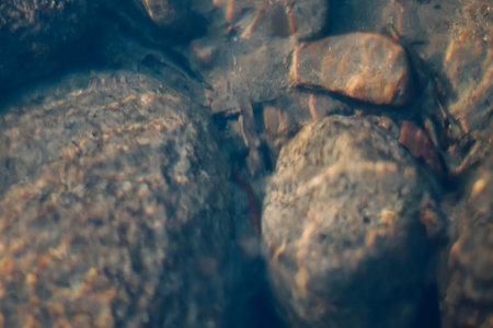 Close up of stones in the water. Macro shot of pebbles.