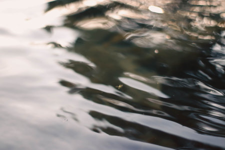 Abstract background, water surface, rippled water, shallow depth of fieldの写真素材