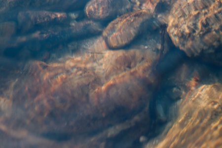 Close-up of the surface of the stone in the water.