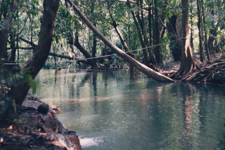 Waterfall in national park at Kanchanaburi province, Thailand.の写真素材