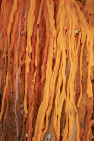 Close up of orange wax candle in Buddhist temple, Bali, Indonesia