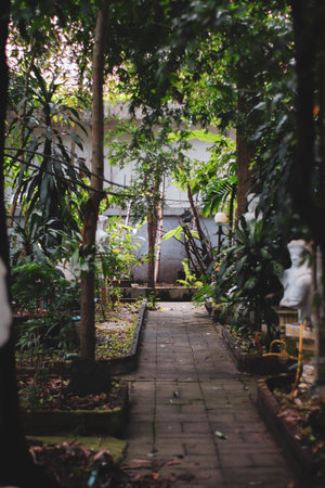 Walking path in the garden at Chiang Mai, Thailand.の写真素材
