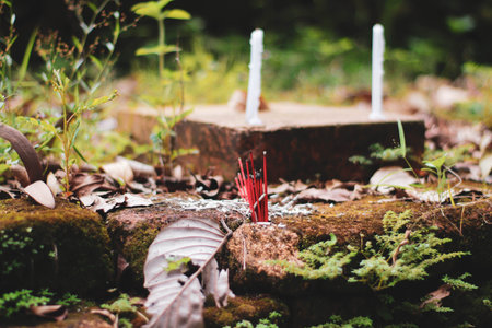 Burning incense sticks in the forest, Thailand. Selective focus.の写真素材
