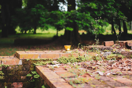 Coffee cup on brick wall in the garden, stock photoの写真素材