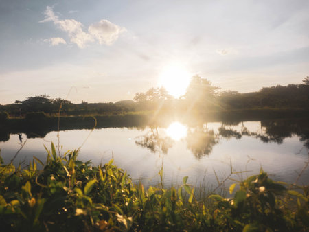 Sunset over the lake with trees and grass in the foreground.の写真素材