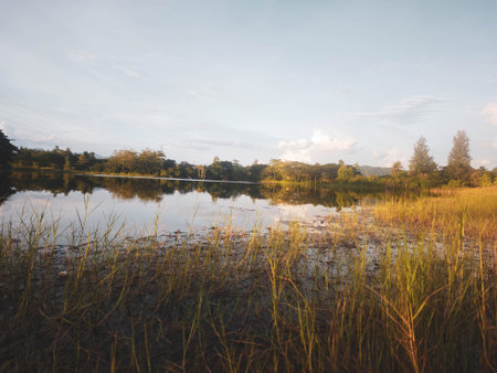 Landscape view of a lake in the morning. Beautiful nature background.の写真素材