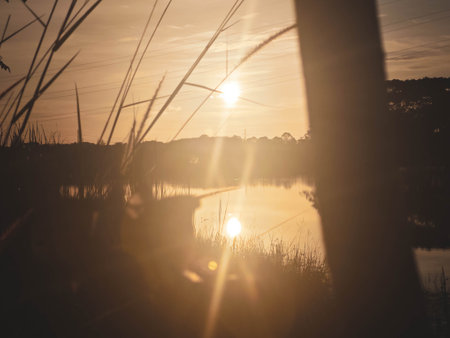 Sunset on the lake with reeds and sunbeams.の写真素材