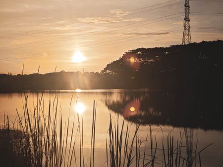 Sunset over the lake with silhouette of trees and grasses.の写真素材