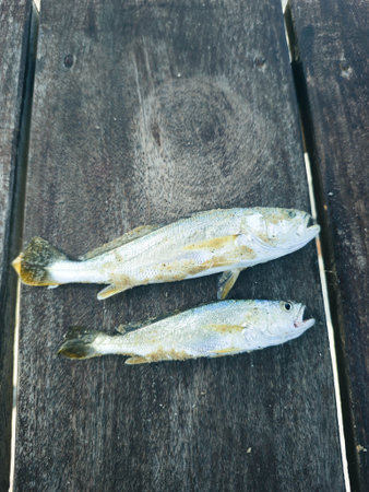 Close-up of fresh fish on wooden background. Top view.